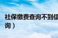 社保缴费查询不到信息怎么回事（社保缴费查询）