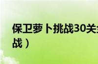 保卫萝卜挑战30关金萝卜攻略（保卫萝卜挑战）