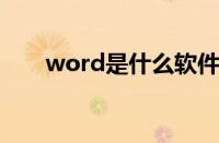 word是什么软件（wps是什么软件）