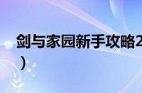 剑与家园新手攻略2023（剑与家园新手攻略）