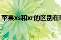 苹果xs和xr的区别在哪（苹果xs和xr的区别）