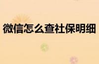 微信怎么查社保明细（微信查社保明细查询）