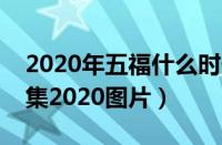 2020年五福什么时候开始集（五福什么时候集2020图片）