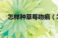 怎样种草莓吻痕（怎么种草莓技巧吻痕）