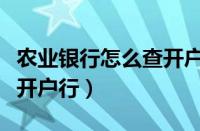 农业银行怎么查开户行信息（农业银行怎么查开户行）