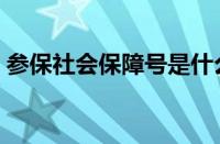 参保社会保障号是什么（社会保障号是什么）