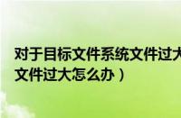 对于目标文件系统文件过大怎么办硬盘（对于目标文件系统文件过大怎么办）