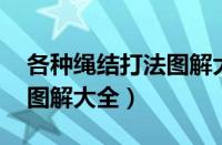 各种绳结打法图解大全 简单（各种绳结打法图解大全）