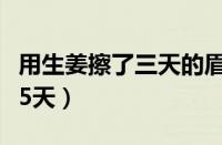 用生姜擦了三天的眉毛（眉毛快速生长的方法5天）