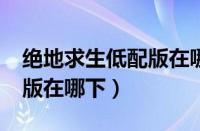 绝地求生低配版在哪儿下载?（绝地求生低配版在哪下）