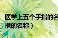 医学上五个手指的名称是什么（医学上五个手指的名称）