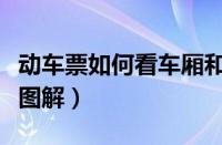 动车票如何看车厢和座位（动车票怎么看站台图解）