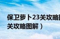 保卫萝卜23关攻略图解法微信（保卫萝卜23关攻略图解）