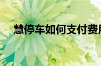 慧停车如何支付费用（慧停车如何收费）