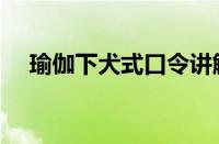 瑜伽下犬式口令讲解（瑜伽下犬式要领）