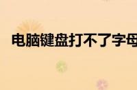 电脑键盘打不了字母（电脑键盘打不了字）