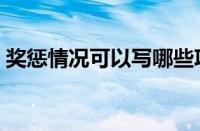 奖惩情况可以写哪些项目（奖惩情况怎么写）