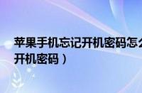 苹果手机忘记开机密码怎么办?一分钟解决（苹果手机忘记开机密码）