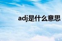 adj是什么意思（set是什么意思）