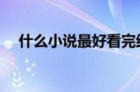 什么小说最好看完结（什么小说最好看）