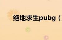 绝地求生pubg（绝地求生更新时间）