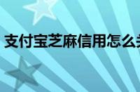 支付宝芝麻信用怎么关闭（支付宝芝麻信用）