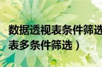 数据透视表条件筛选器日期怎么弄（数据透视表多条件筛选）