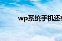 wp系统手机还有卖吗（wp系统）