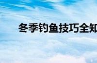 冬季钓鱼技巧全知识（冬季钓鱼技巧）