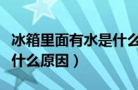 冰箱里面有水是什么原因呢（冰箱里面有水是什么原因）