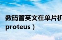 数码管英文在单片机上怎么写（数码管英文在proteus）