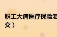 职工大病医疗保险怎么交（大病医疗保险怎么交）