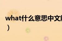 what什么意思中文解释（what什么意思中文）