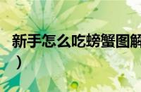 新手怎么吃螃蟹图解（螃蟹哪里不能吃高清图）