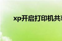 xp开启打印机共享（xp打印机共享）