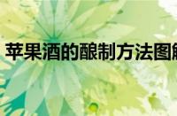 苹果酒的酿制方法图解（苹果酒的酿制方法）