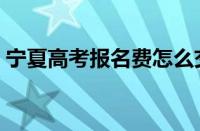 宁夏高考报名费怎么交（高考报名费怎么交）