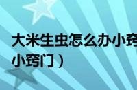 大米生虫怎么办小窍门视频（大米生虫怎么办小窍门）