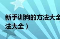 新手训狗的方法大全视频教程（新手训狗的方法大全）