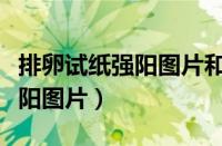 排卵试纸强阳图片和弱阳的区别（排卵试纸强阳图片）