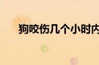 狗咬伤几个小时内打针有效（狗咬伤）