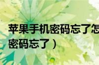 苹果手机密码忘了怎么解开手机锁（苹果手机密码忘了）