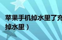 苹果手机掉水里了充不了电怎么办（苹果手机掉水里）