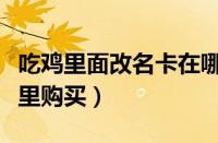 吃鸡里面改名卡在哪里购买（吃鸡改名卡在哪里购买）