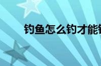 钓鱼怎么钓才能钓到（钓鱼怎么钓）