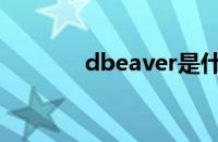 dbeaver是什么（dbeaver）