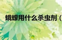 蛾蠓用什么杀虫剂（蛾蚋用什么杀虫剂杀）