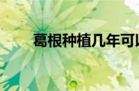 葛根种植几年可以挖出（葛根种植）