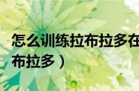 怎么训练拉布拉多在外面大小便（怎么训练拉布拉多）