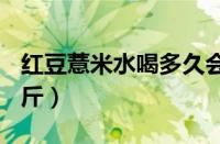 红豆薏米水喝多久会瘦（红豆薏米水7天瘦10斤）